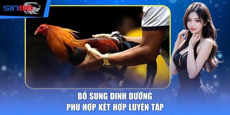 Bổ sung dinh dưỡng phù hợp kết hợp luyện tập