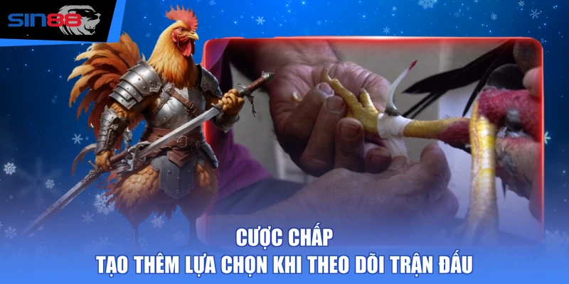 Cược chấp tạo thêm lựa chọn khi theo dõi trận đấu