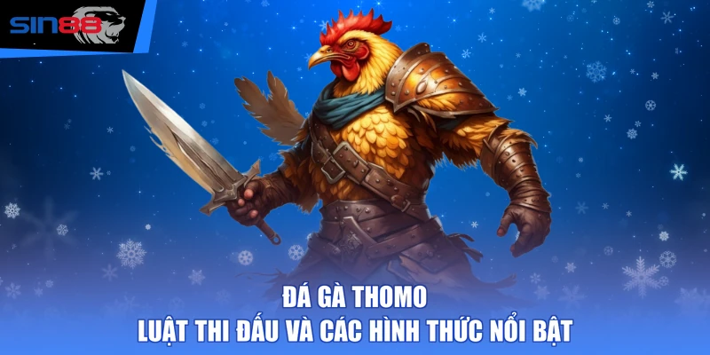 Đá Gà Thomo - Luật Thi Đấu Và Các Hình Thức Nổi Bật
